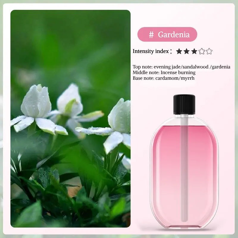 Digital Aromatherapy Diffuser with Mood Light